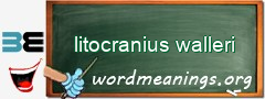WordMeaning blackboard for litocranius walleri